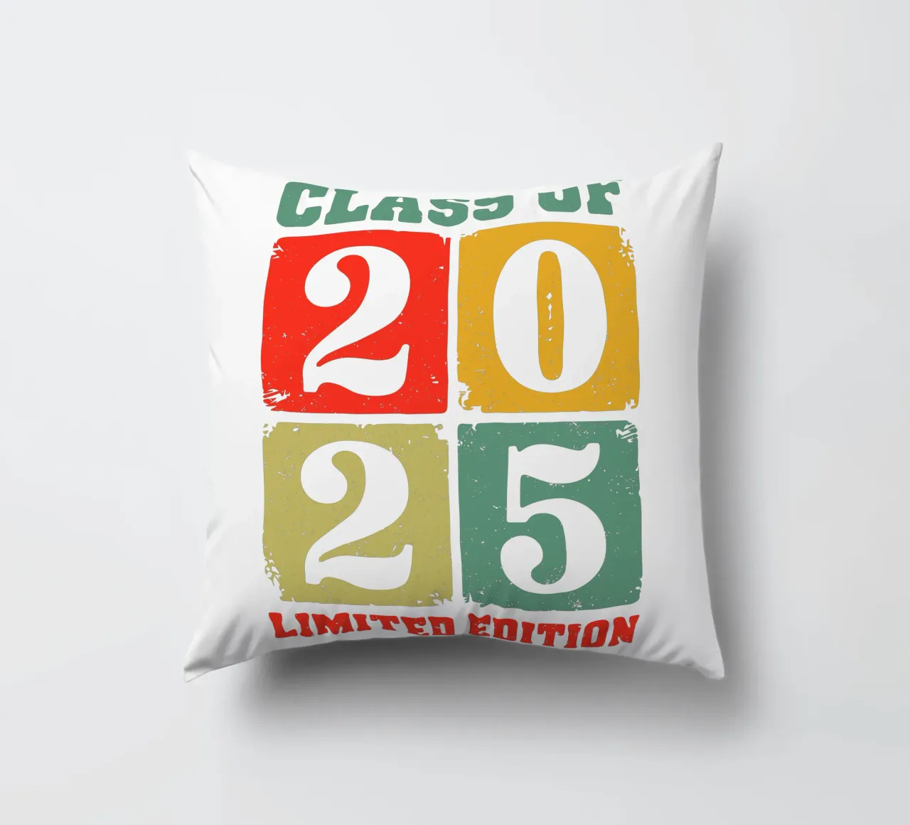 Class of 2025 Limited Edition cuscino da edsonramosart