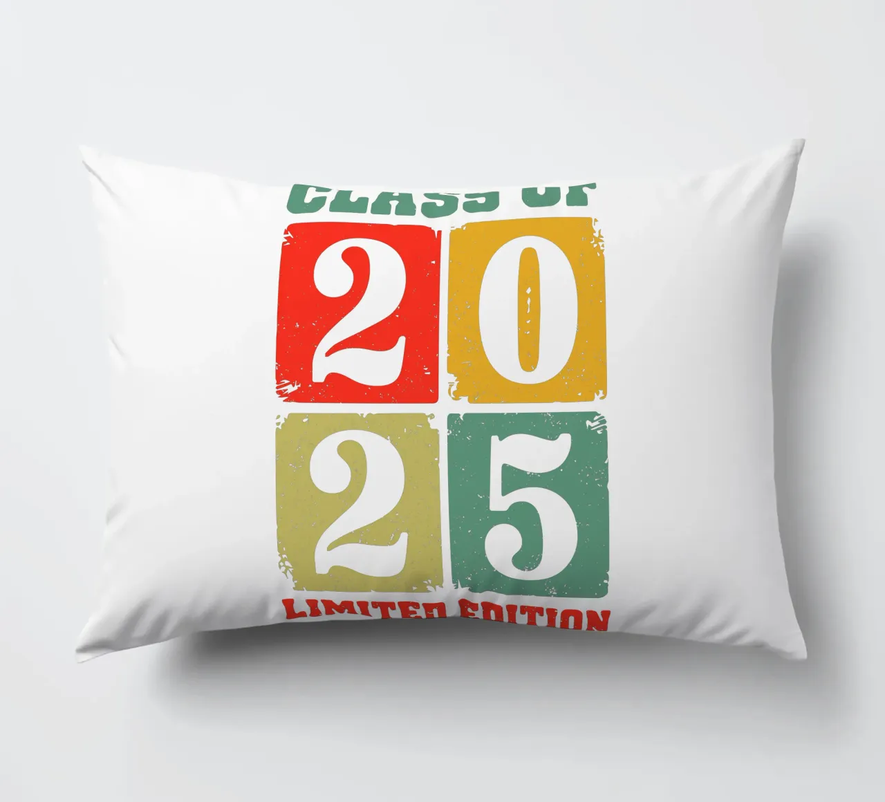 Class of 2025 Limited Edition cuscino da edsonramosart