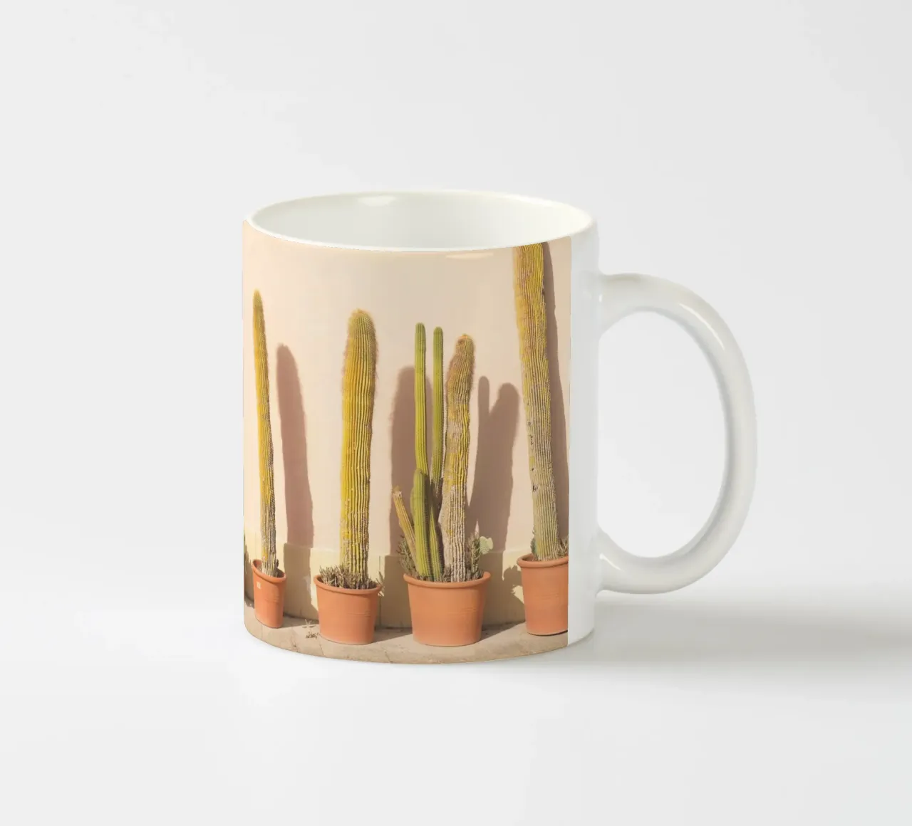 Firenze, Italia I Cactus al tramonto in Toscana tazza in ceramica da Julie Travel Photography