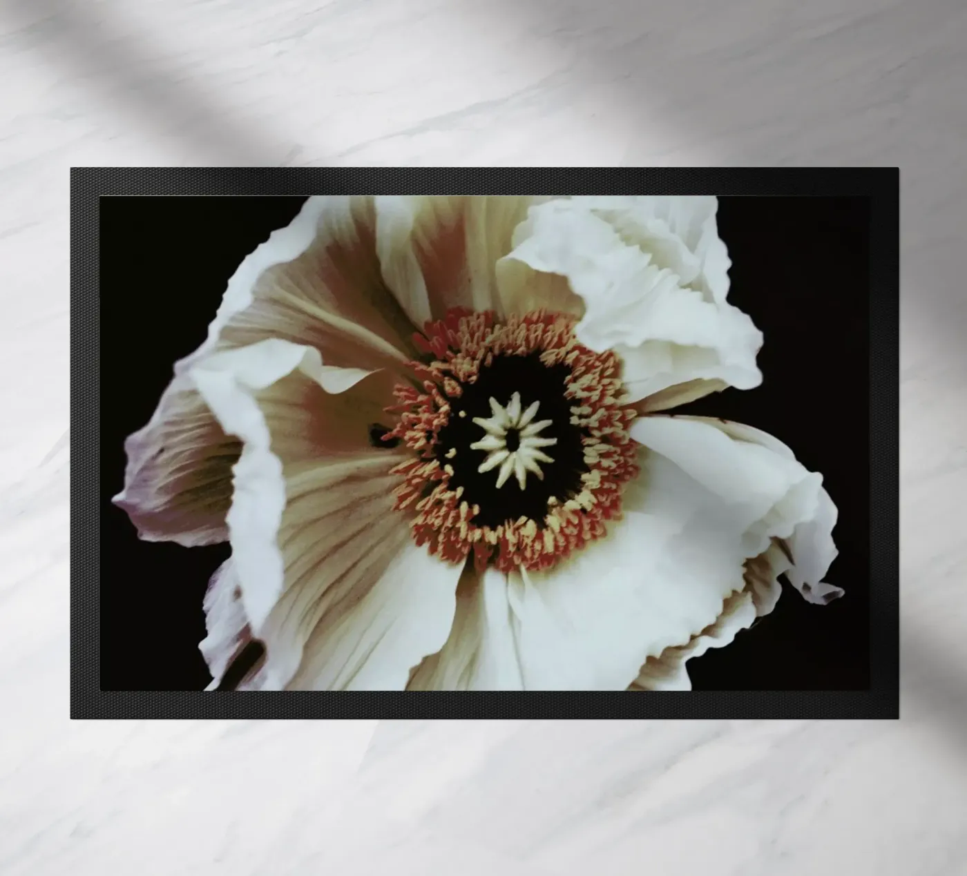 Speak zerbino da Morgan Kendall