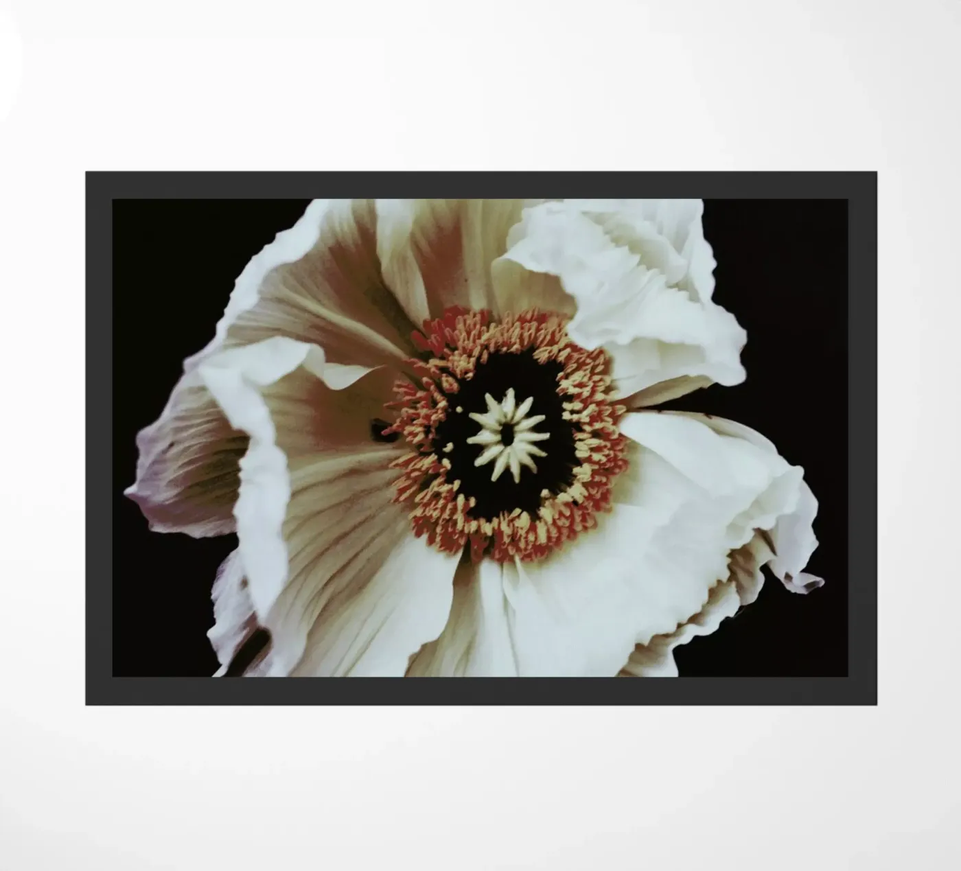 Speak zerbino da Morgan Kendall