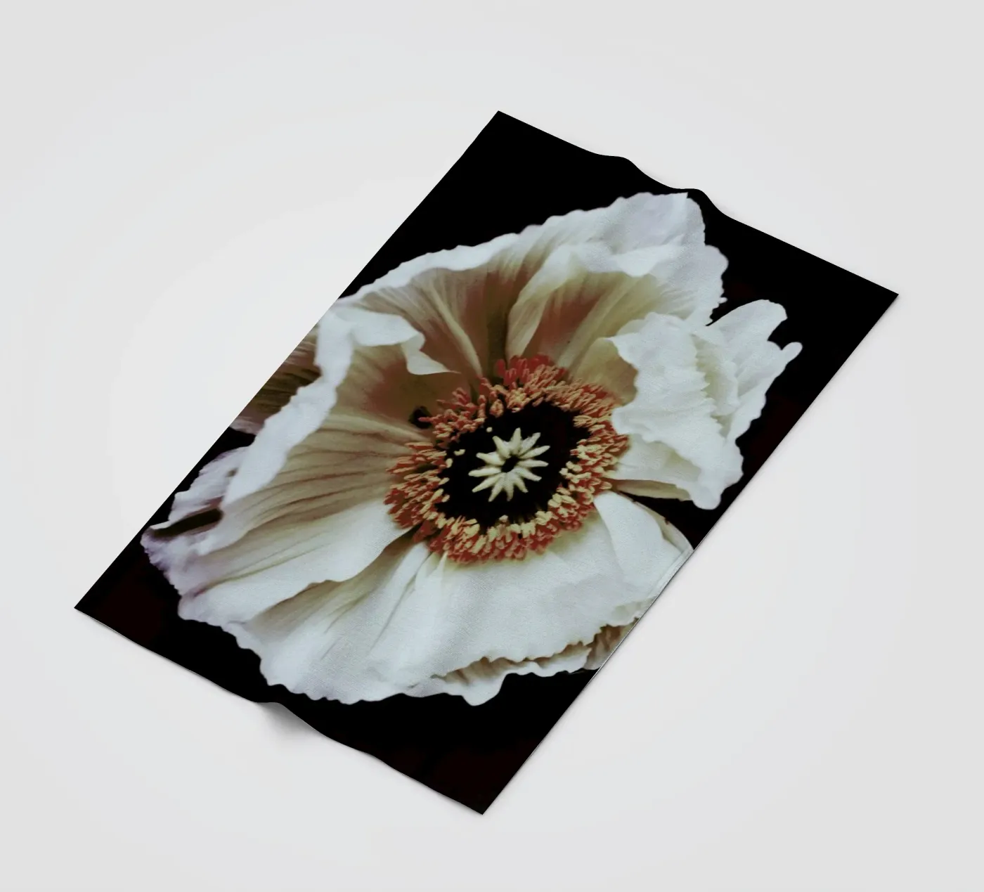 Speak Fleecedecke von Morgan Kendall