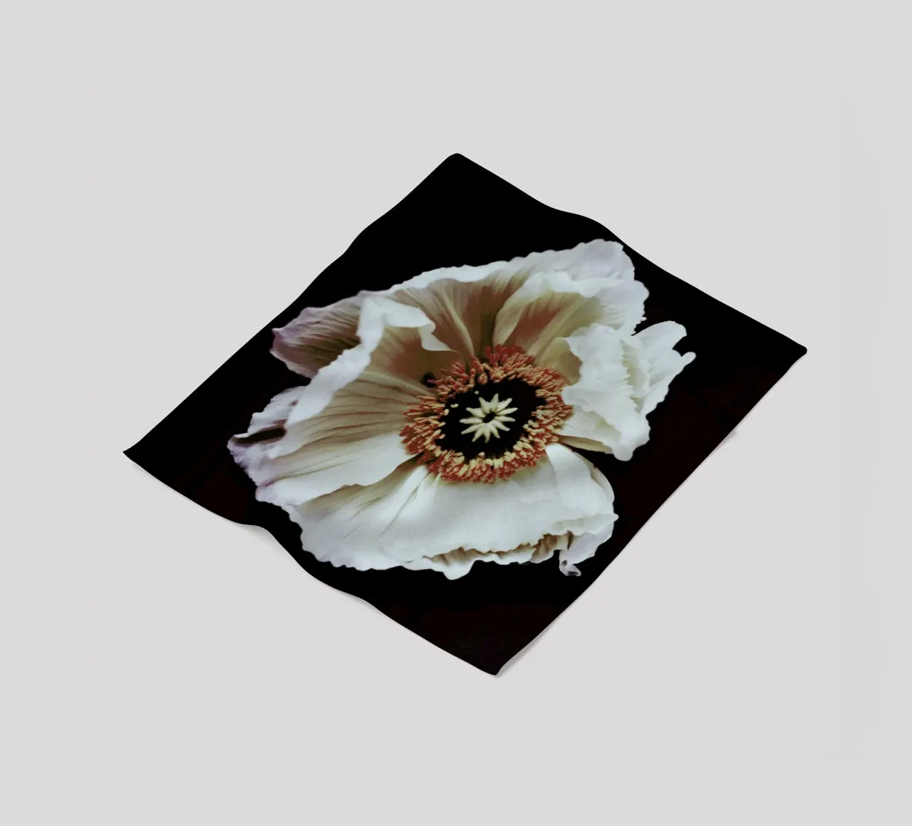 Speak coperta in pile da Morgan Kendall