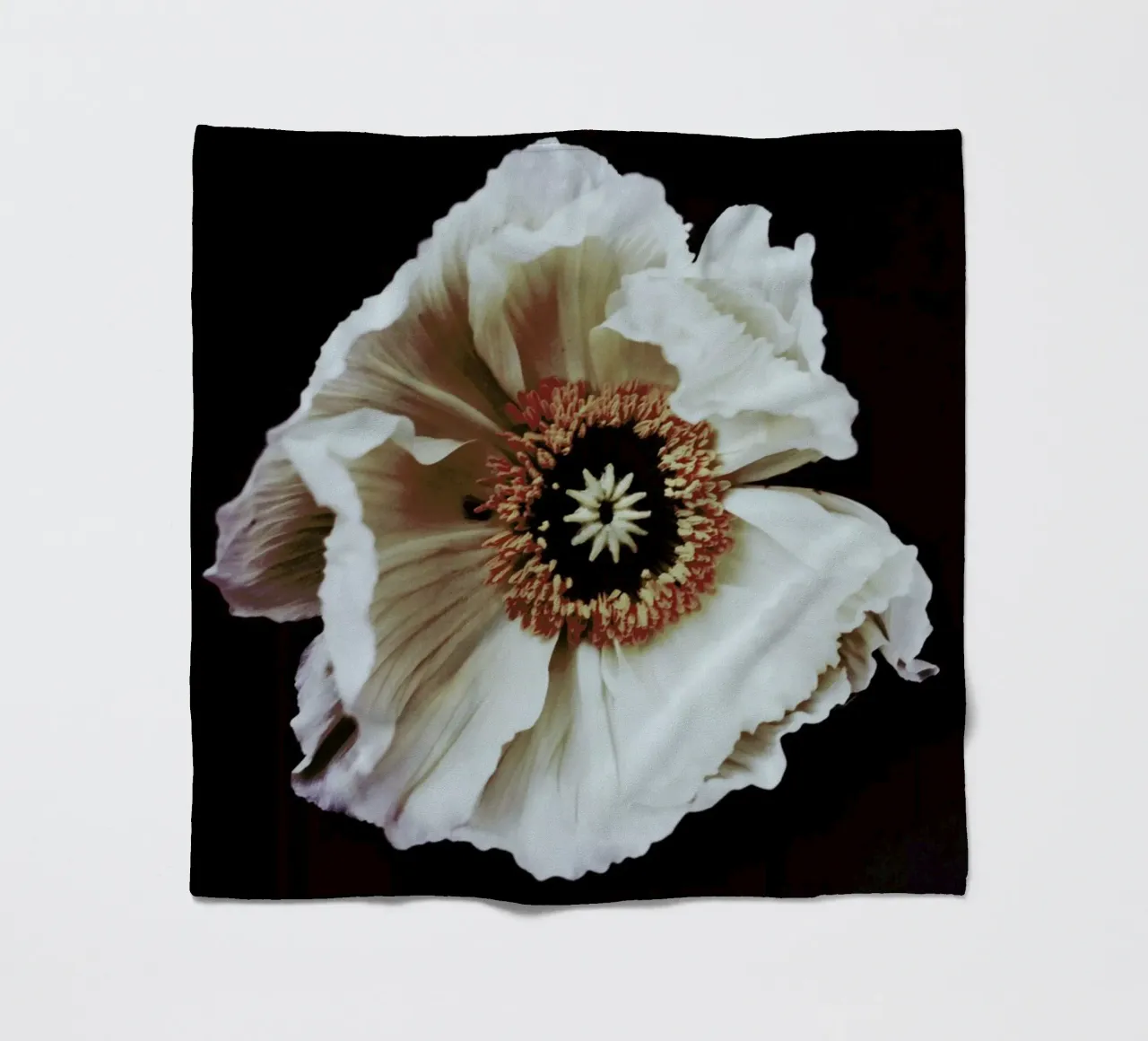 Speak coperta in pile da Morgan Kendall