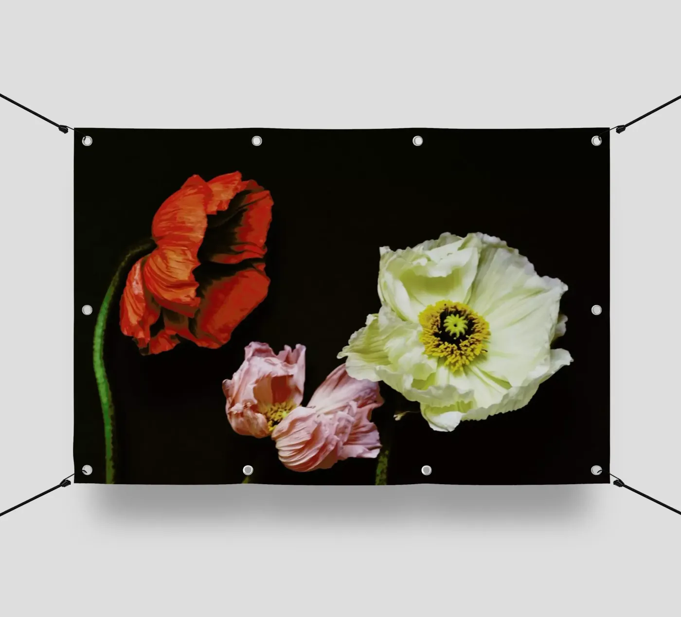 Windblown telo in pvc da Morgan Kendall