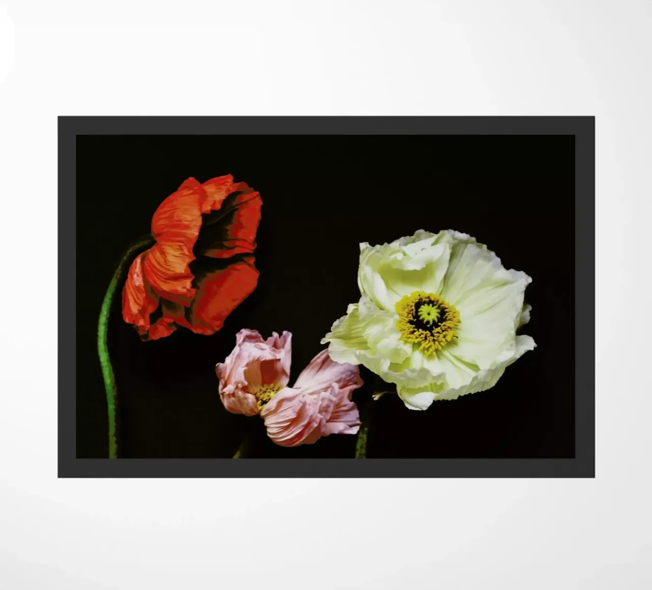 Windblown doormat by Morgan Kendall