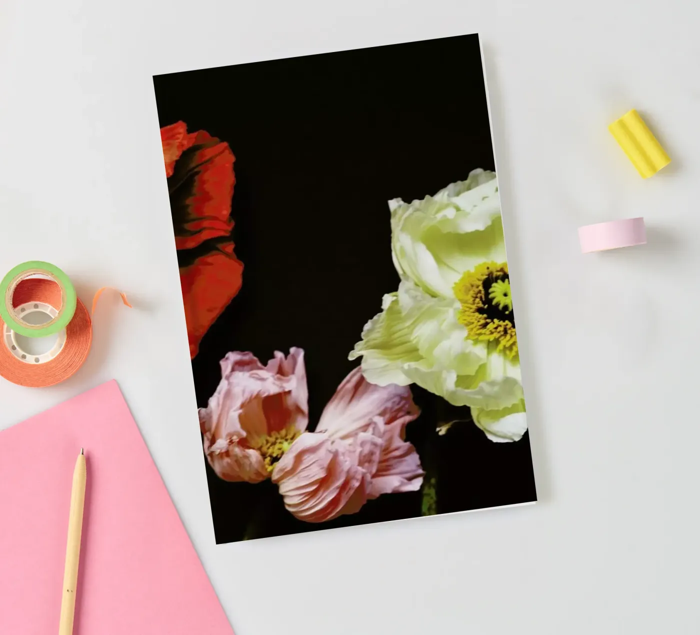 Windblown notebook by Morgan Kendall