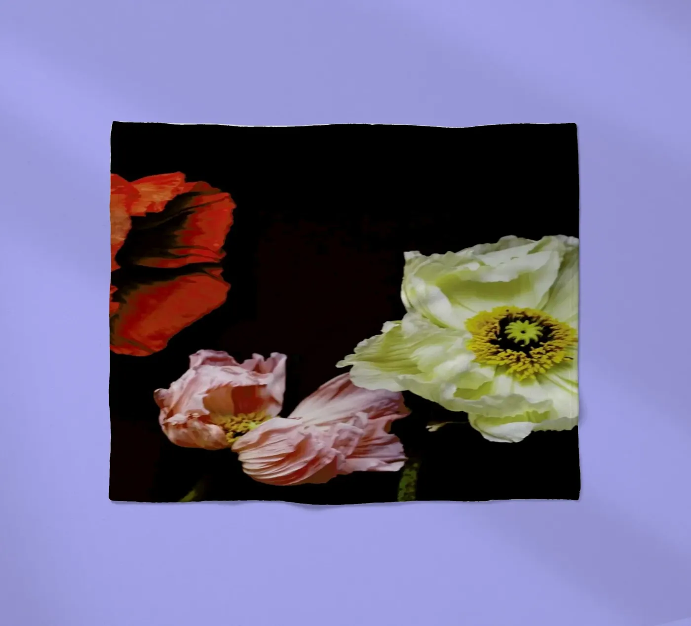 Windblown Fleecedecke von Morgan Kendall