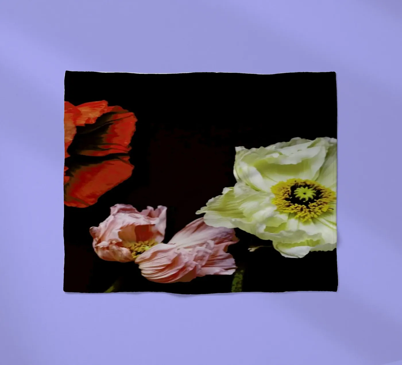 Windblown Fleecedecke von Morgan Kendall