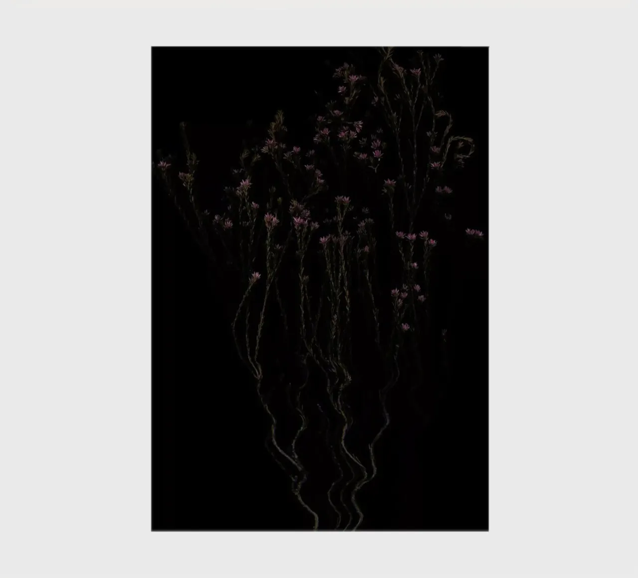 Flora IV notebook by Jana Otto