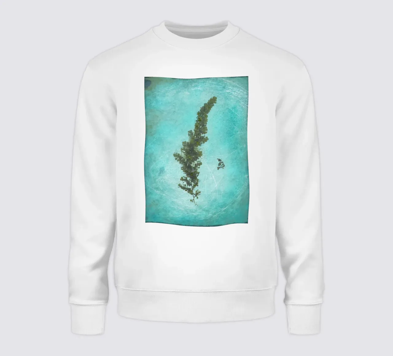 Alghe felpa da Eva Nev Photography