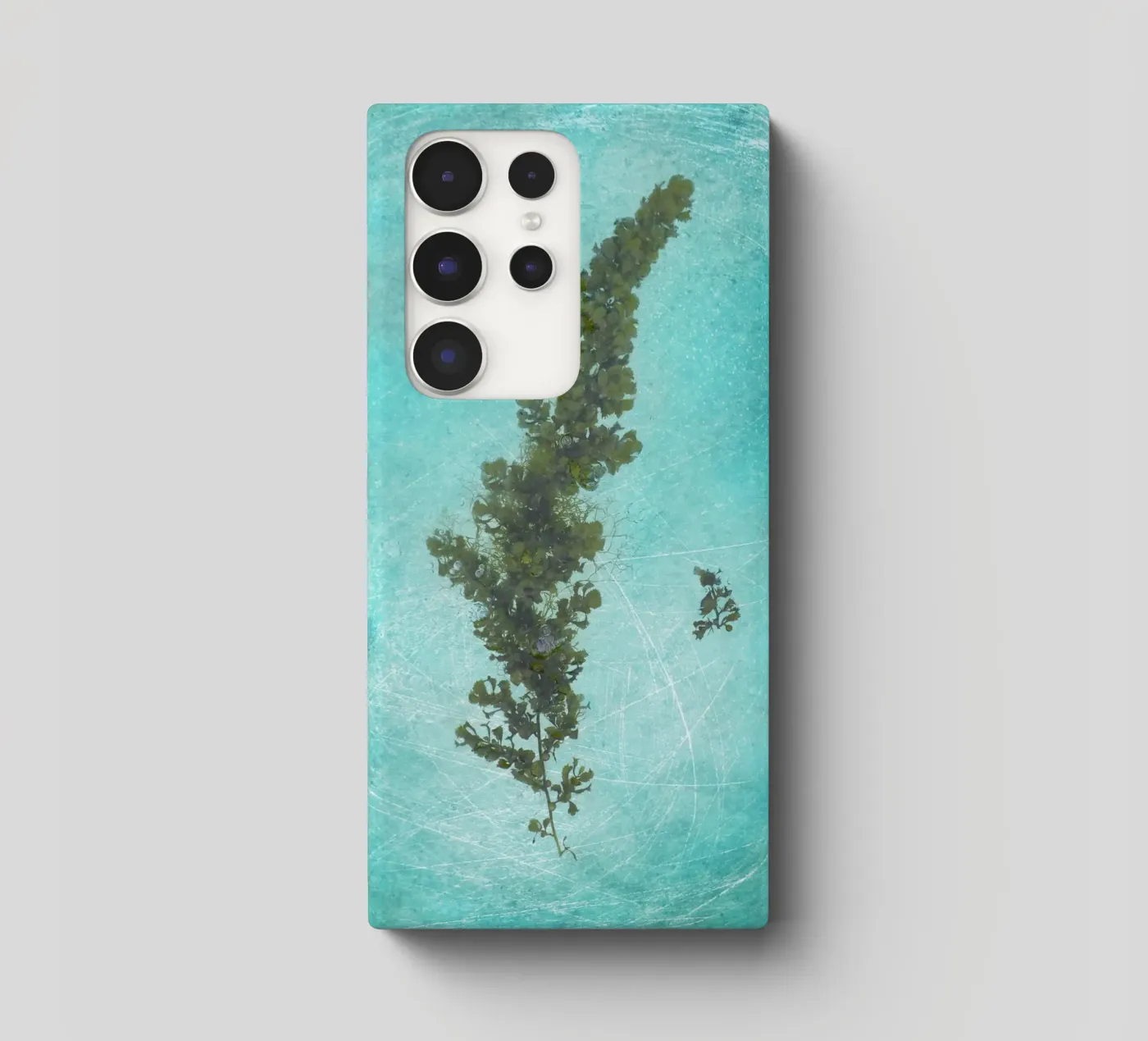 Seaweed cover samsung da Eva Nev Photography