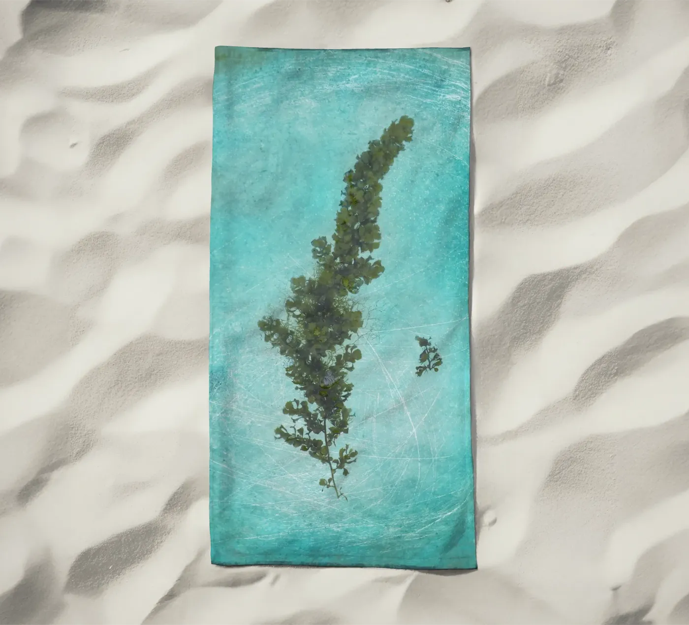 Seaweed telo mare da Eva Nev Photography