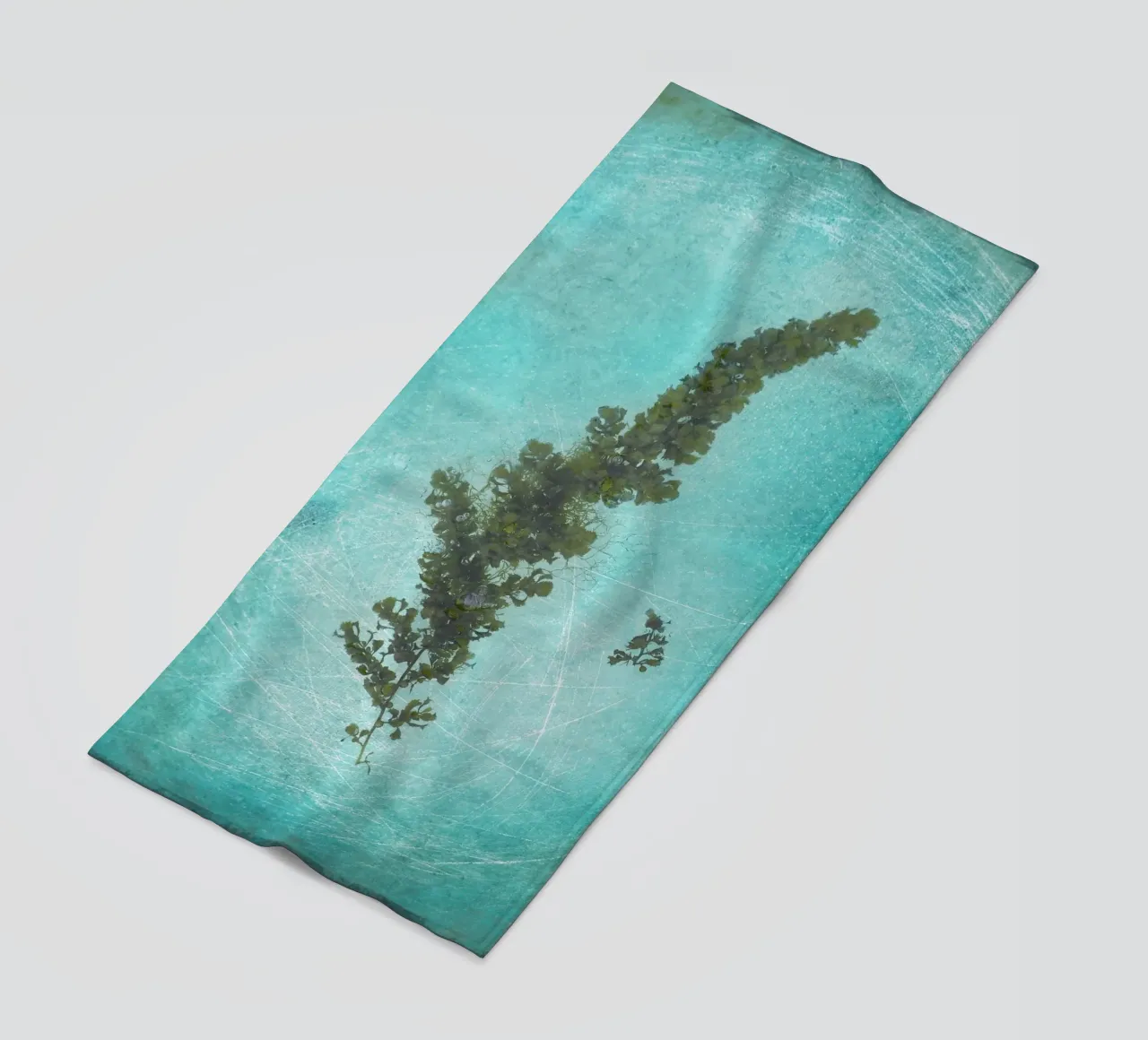 Alghe telo mare da Eva Nev Photography