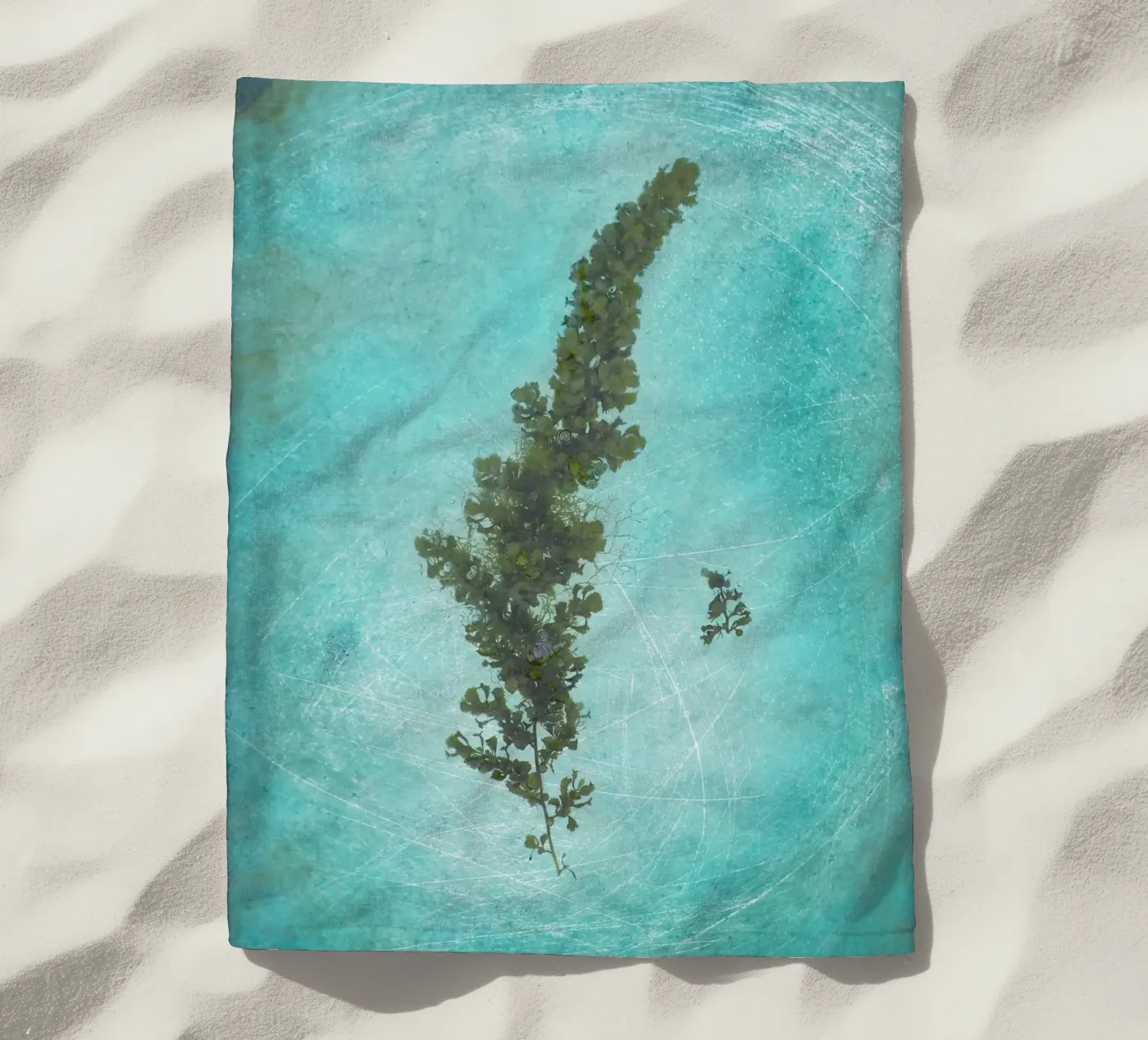 Seaweed telo mare da Eva Nev Photography