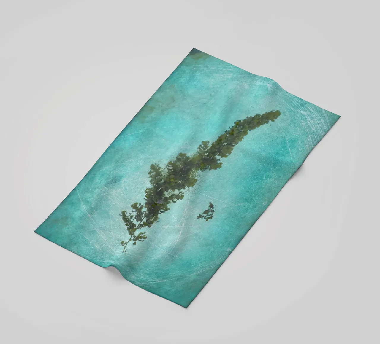 Alghe telo mare da Eva Nev Photography