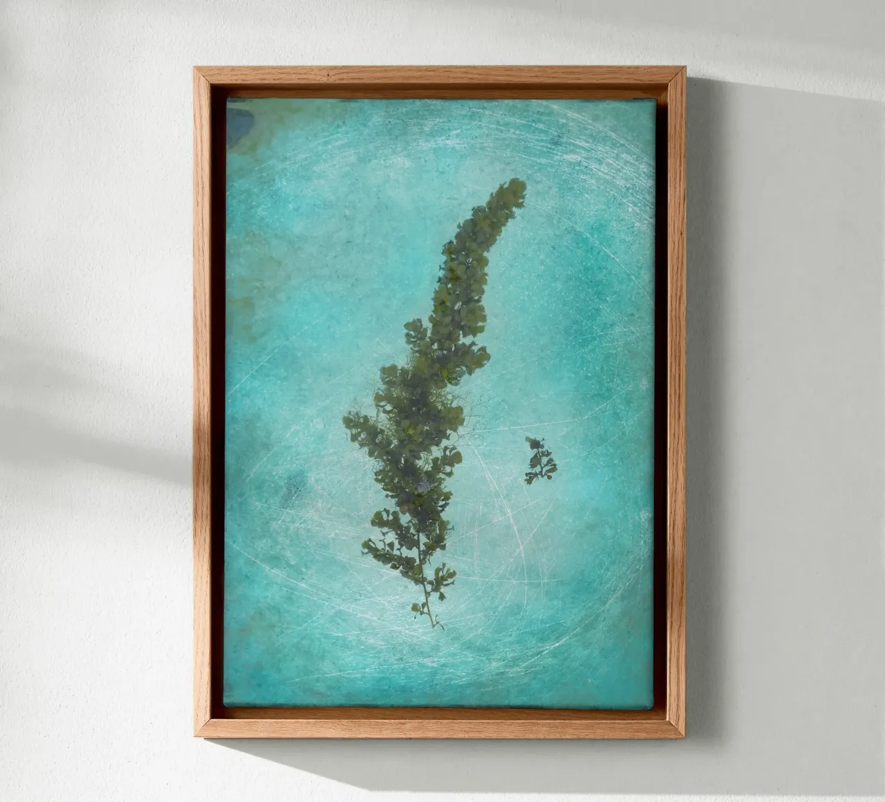 Seaweed tela da Eva Nev Photography