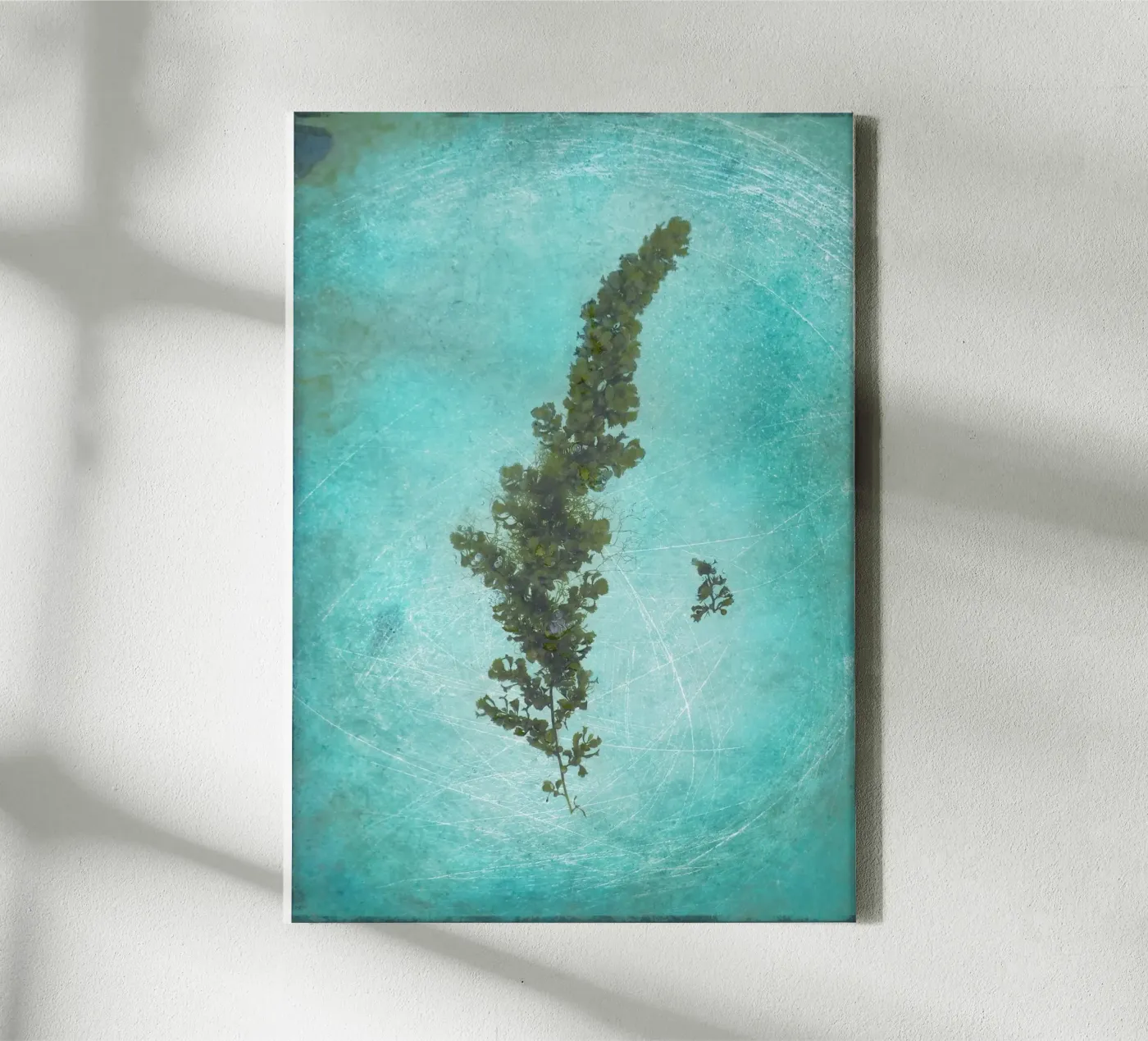 Alghe tela da Eva Nev Photography