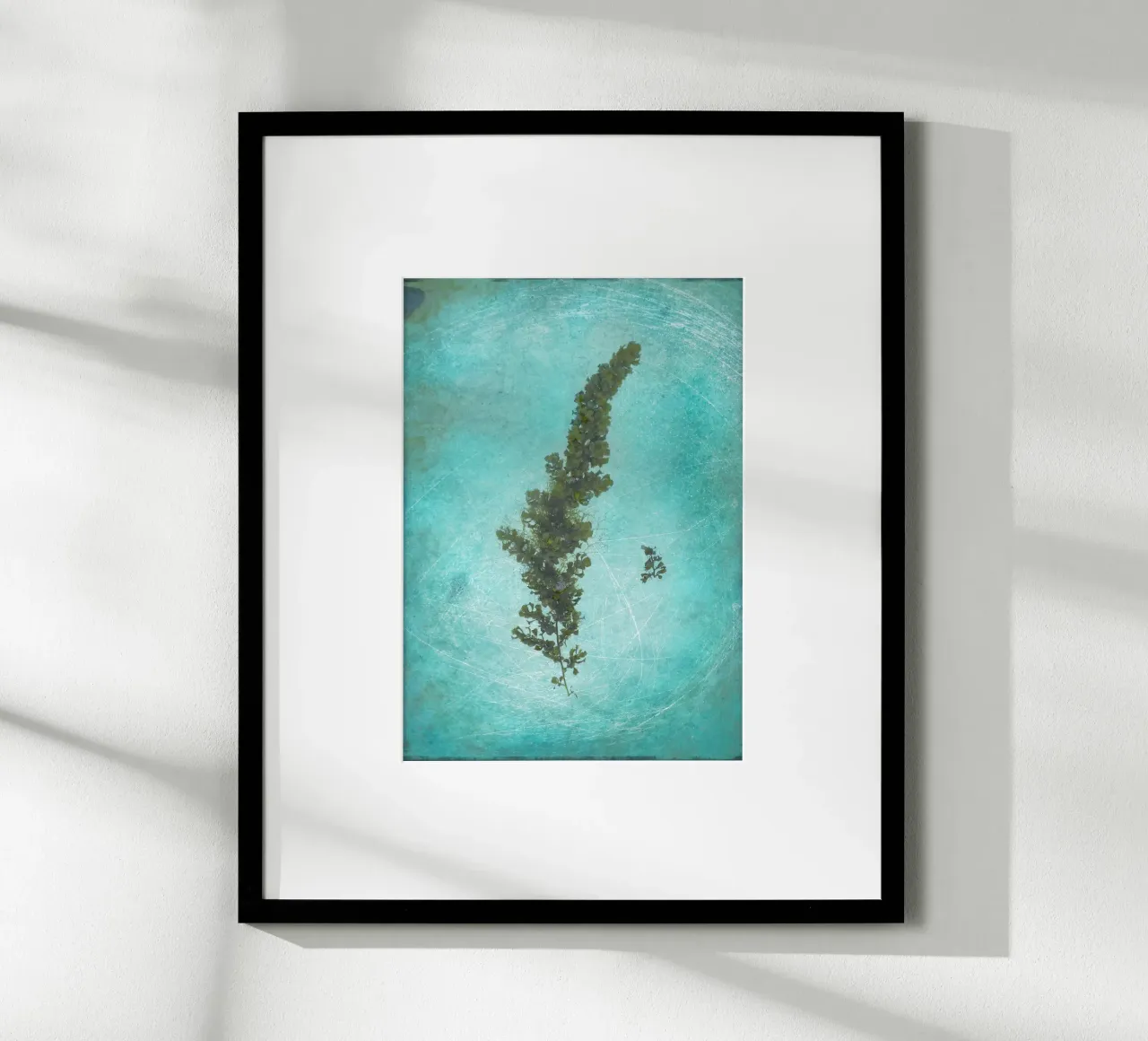 Alghe poster da Eva Nev Photography