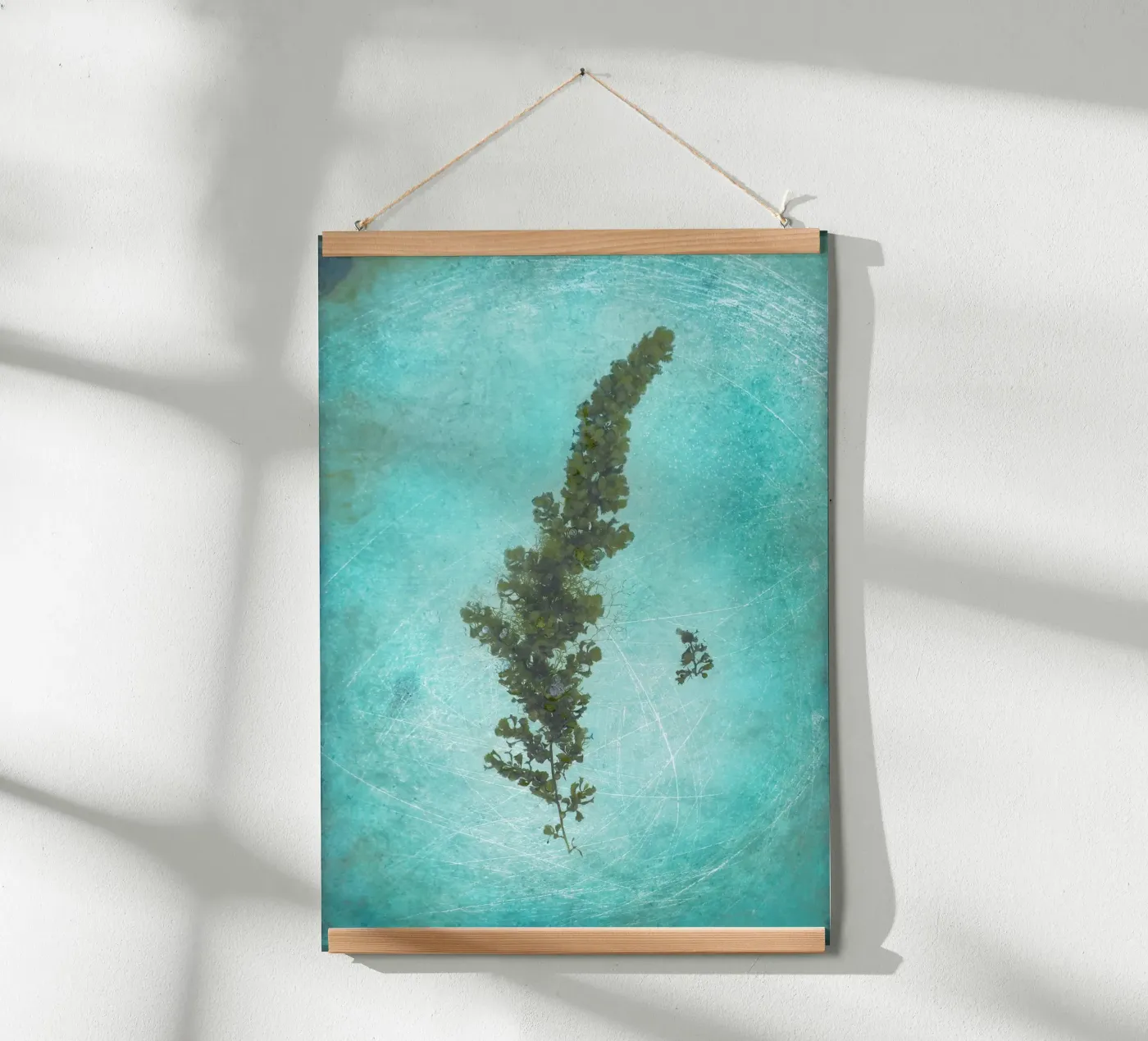 Seaweed Poster von Eva Nev Photography