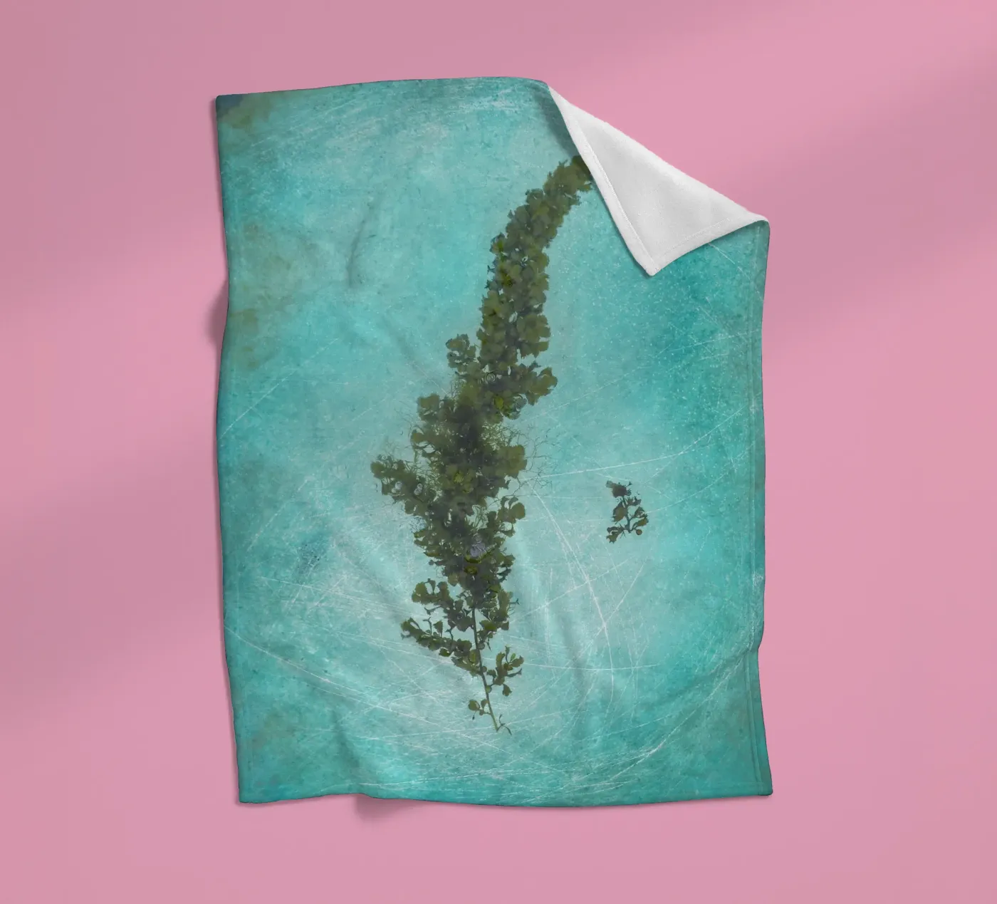 Alghe coperta in pile da Eva Nev Photography