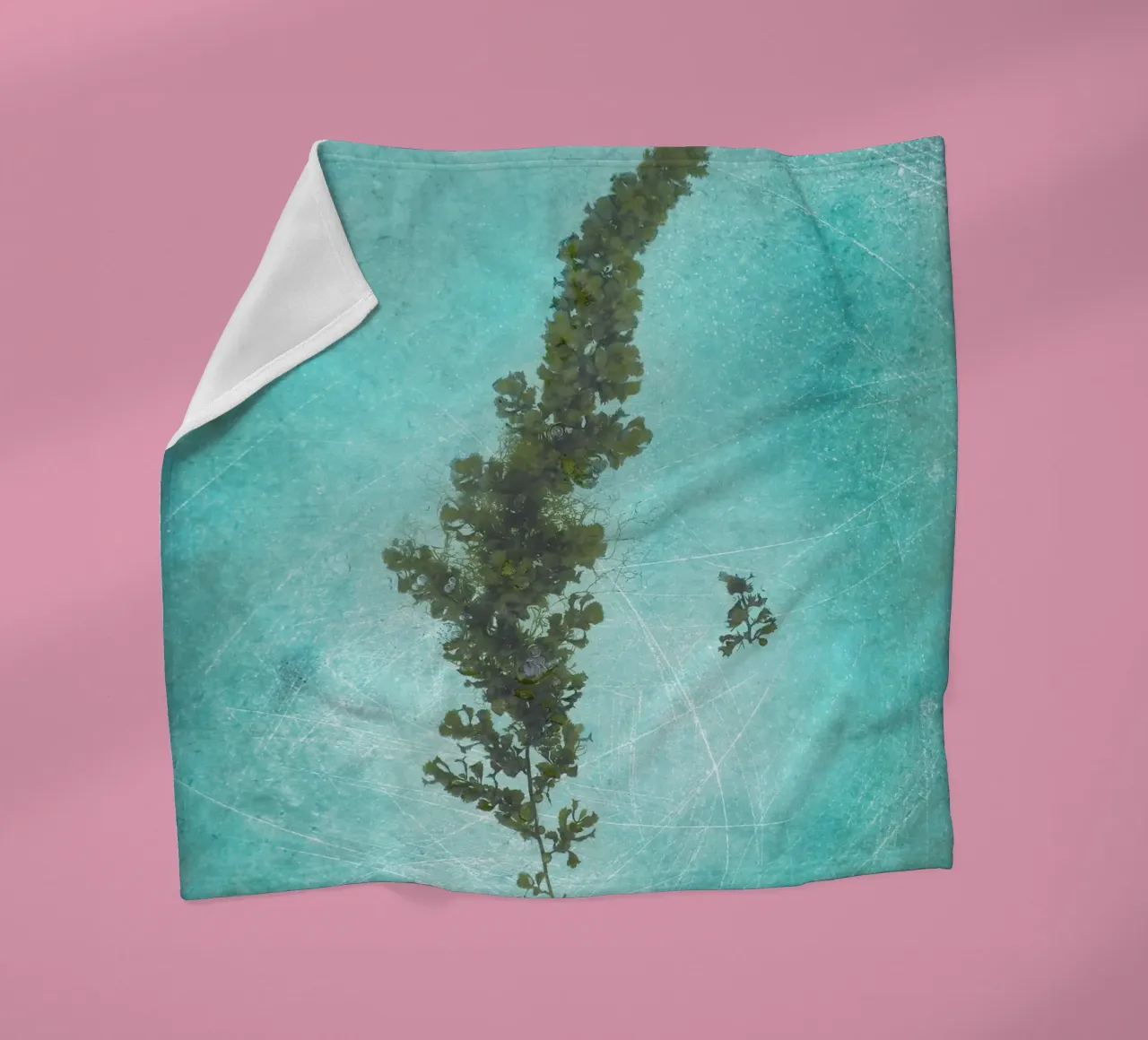 Alghe coperta in pile da Eva Nev Photography