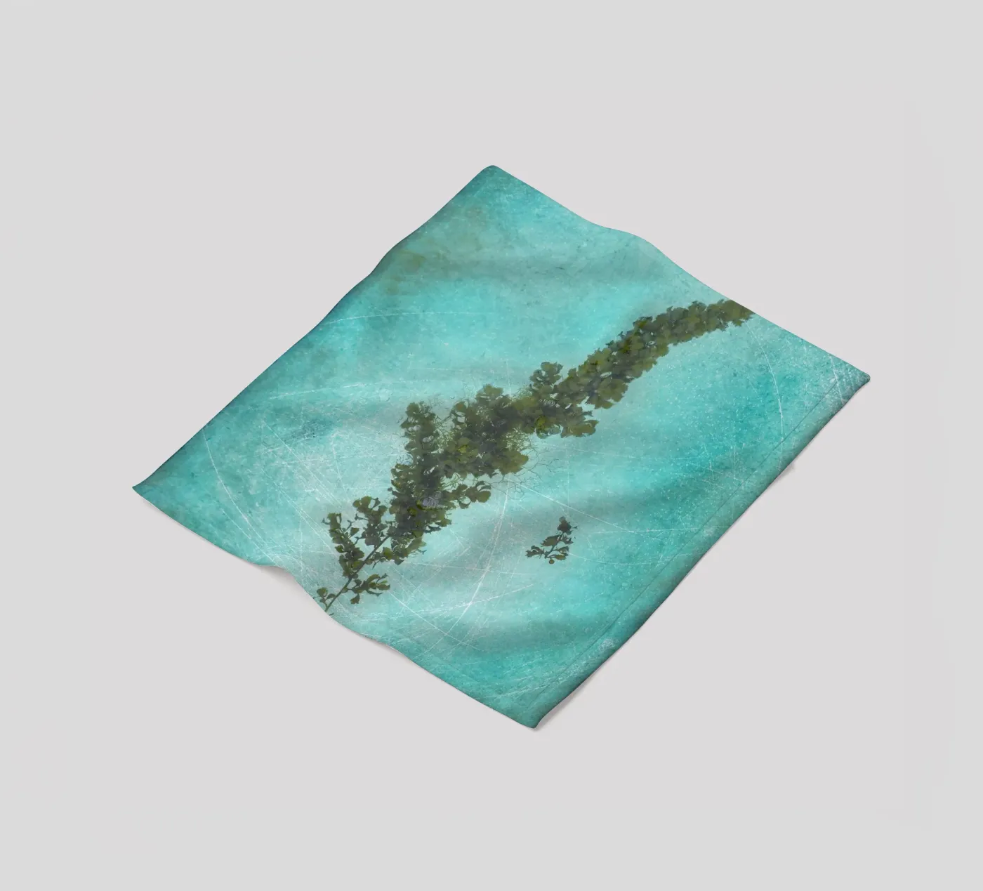 Alghe coperta in pile da Eva Nev Photography