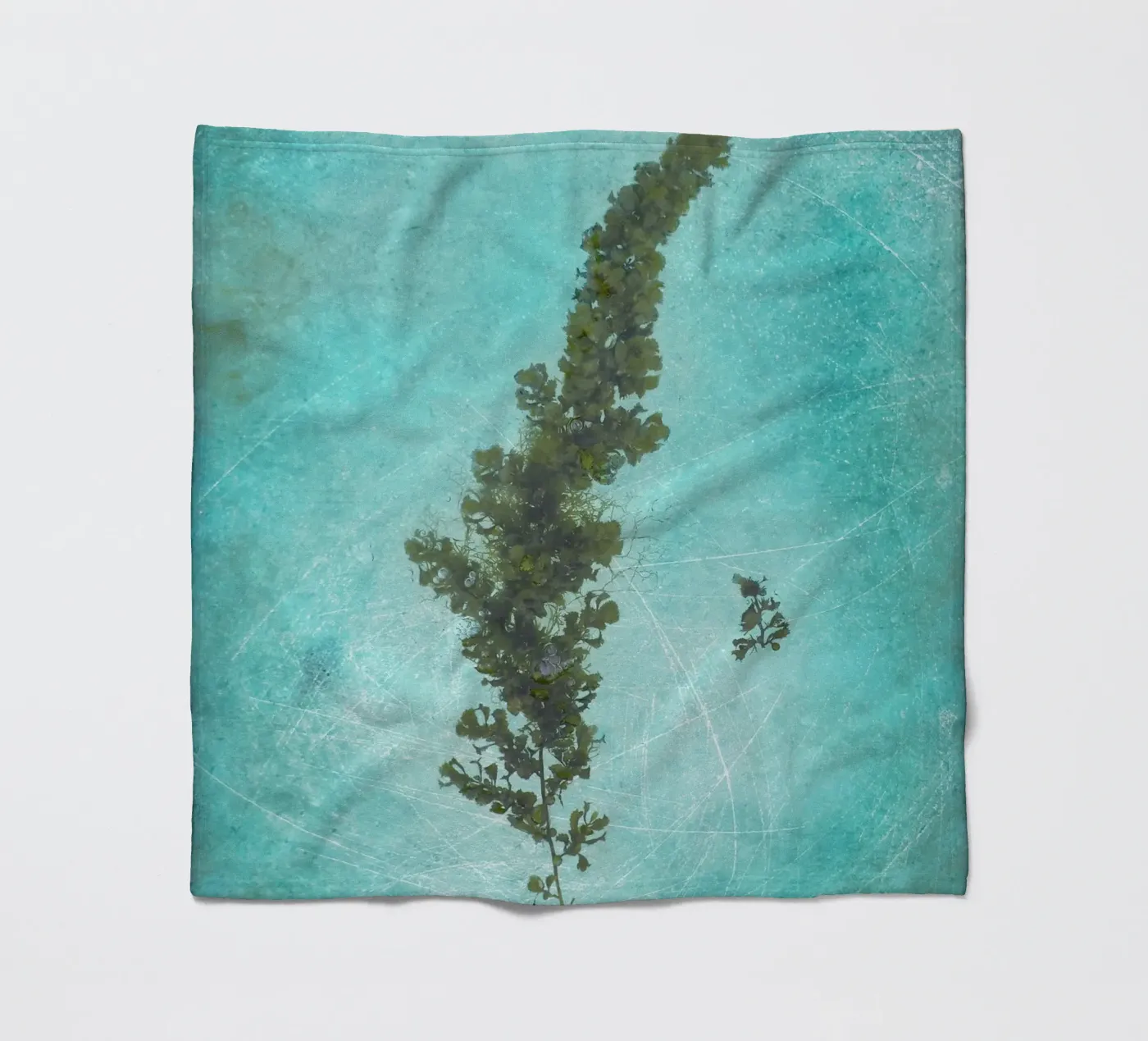 Alghe coperta in pile da Eva Nev Photography