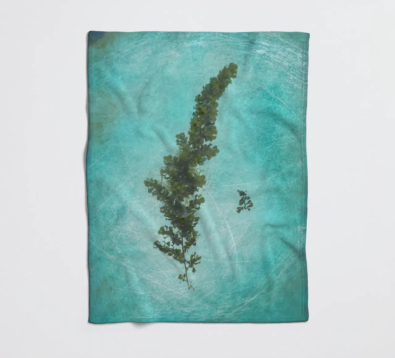 Alghe coperta in pile da Eva Nev Photography