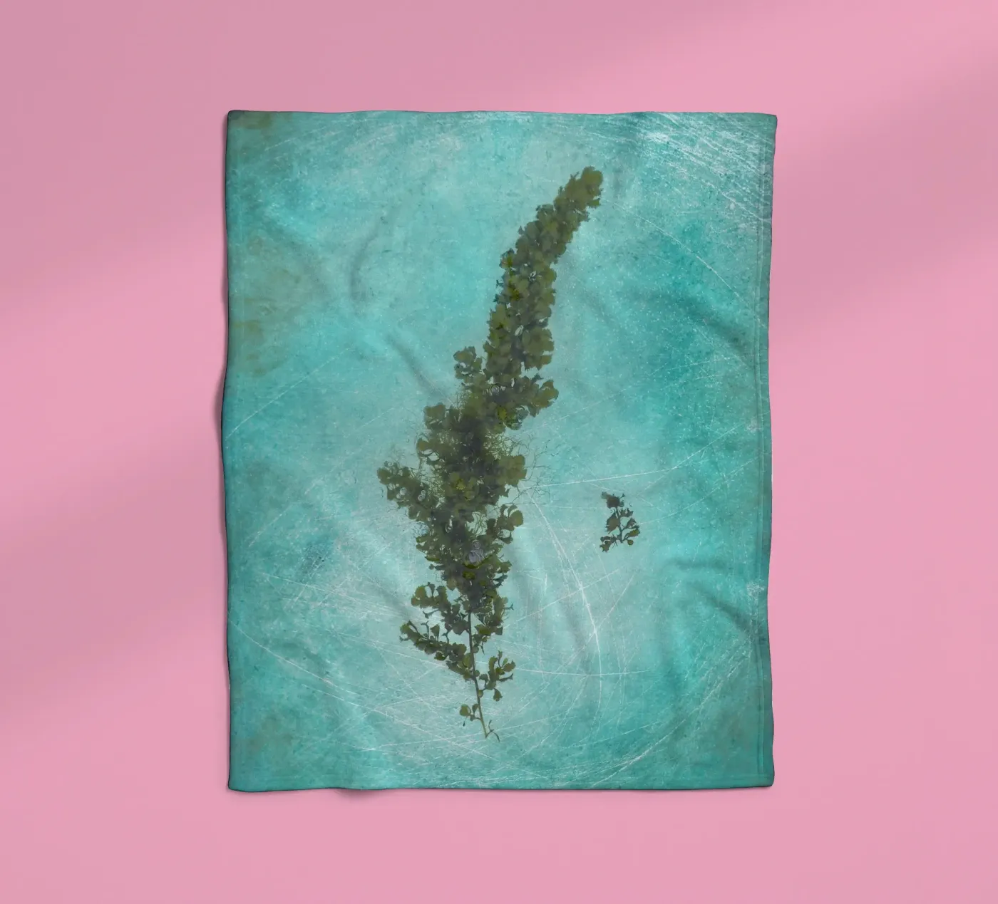 Alghe coperta in pile da Eva Nev Photography