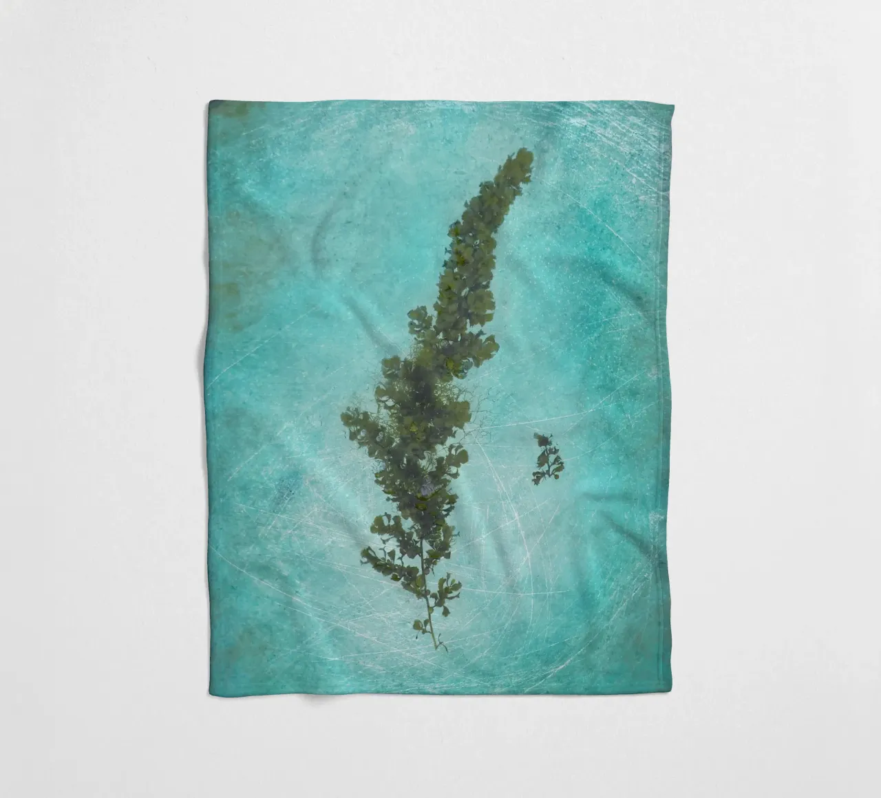 Alghe coperta in pile da Eva Nev Photography