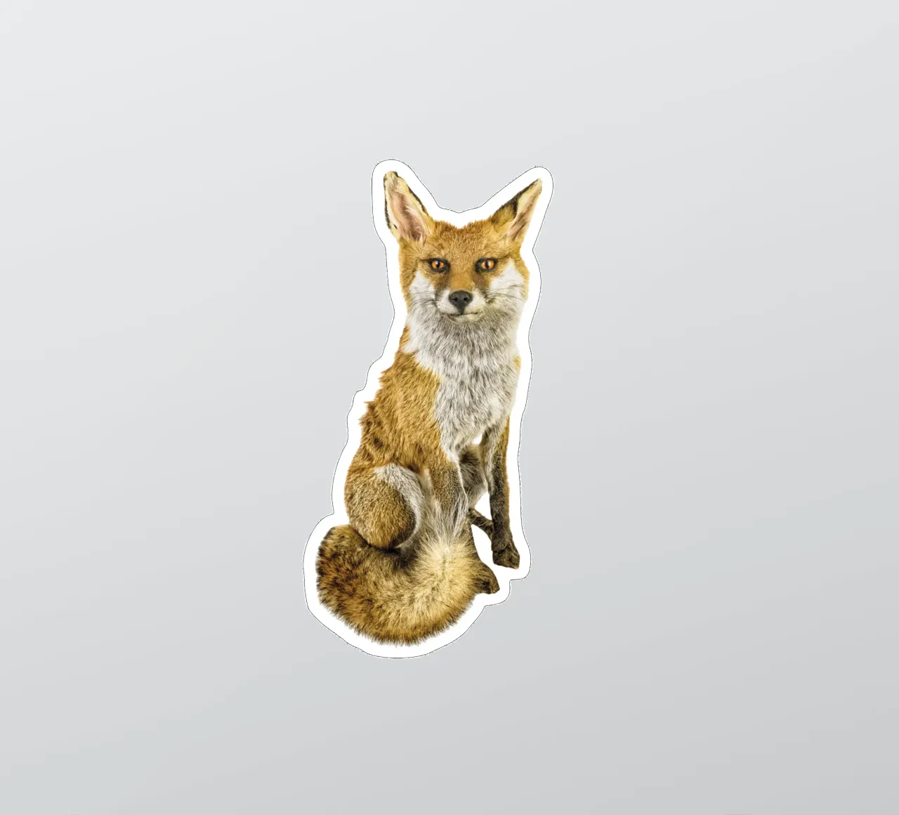 Geheimnis in der Wildnis: Intriganter Fuchs Sticker von Curious Collections by Marielle Leenders