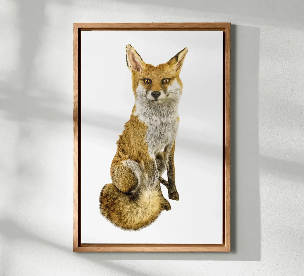 Mystery in the Wild: Intriguing Fox canvas with Floater frame by Curious Collections by Marielle Leenders