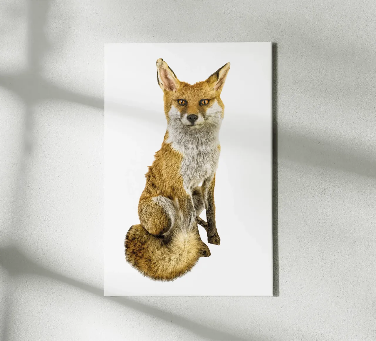 Mystery in the Wild: Intriguing Fox canvas with Floater frame by Curious Collections by Marielle Leenders