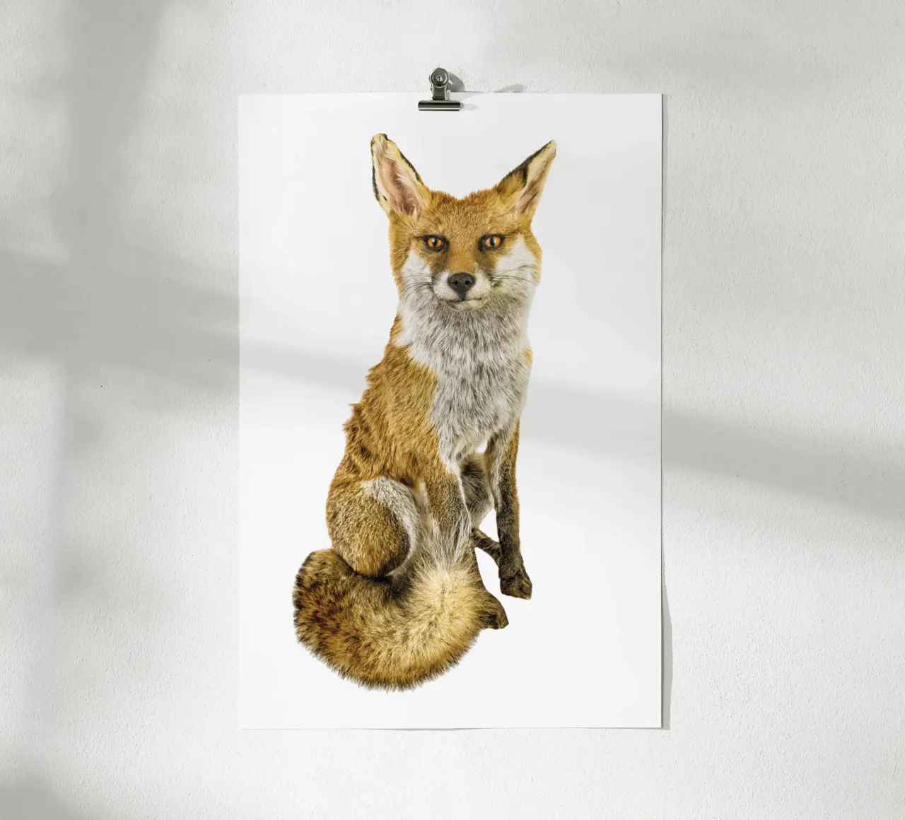 Geheimnis in der Wildnis: Intriganter Fuchs Hahnemühle von Curious Collections by Marielle Leenders