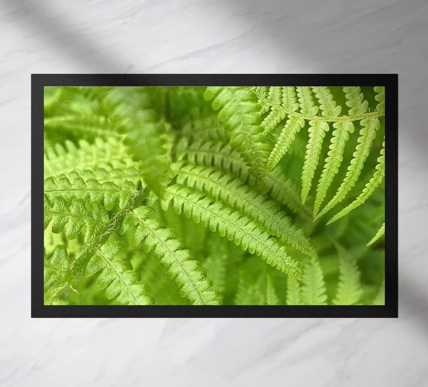 Felce zerbino da Art Studio by Iris