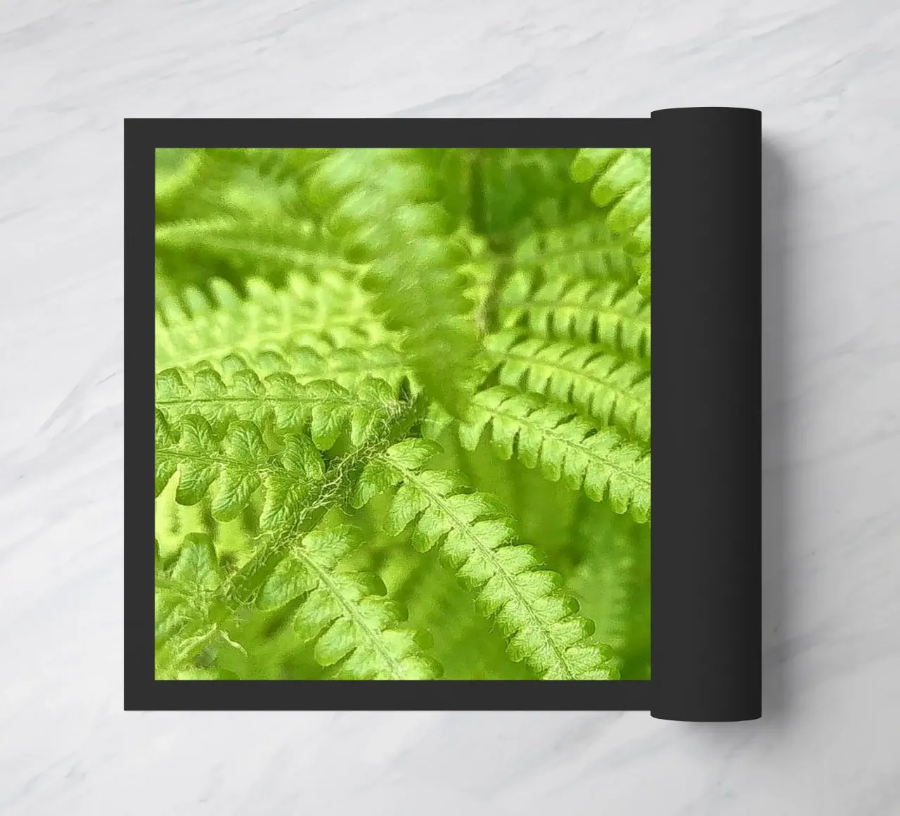 Felce zerbino da Art Studio by Iris