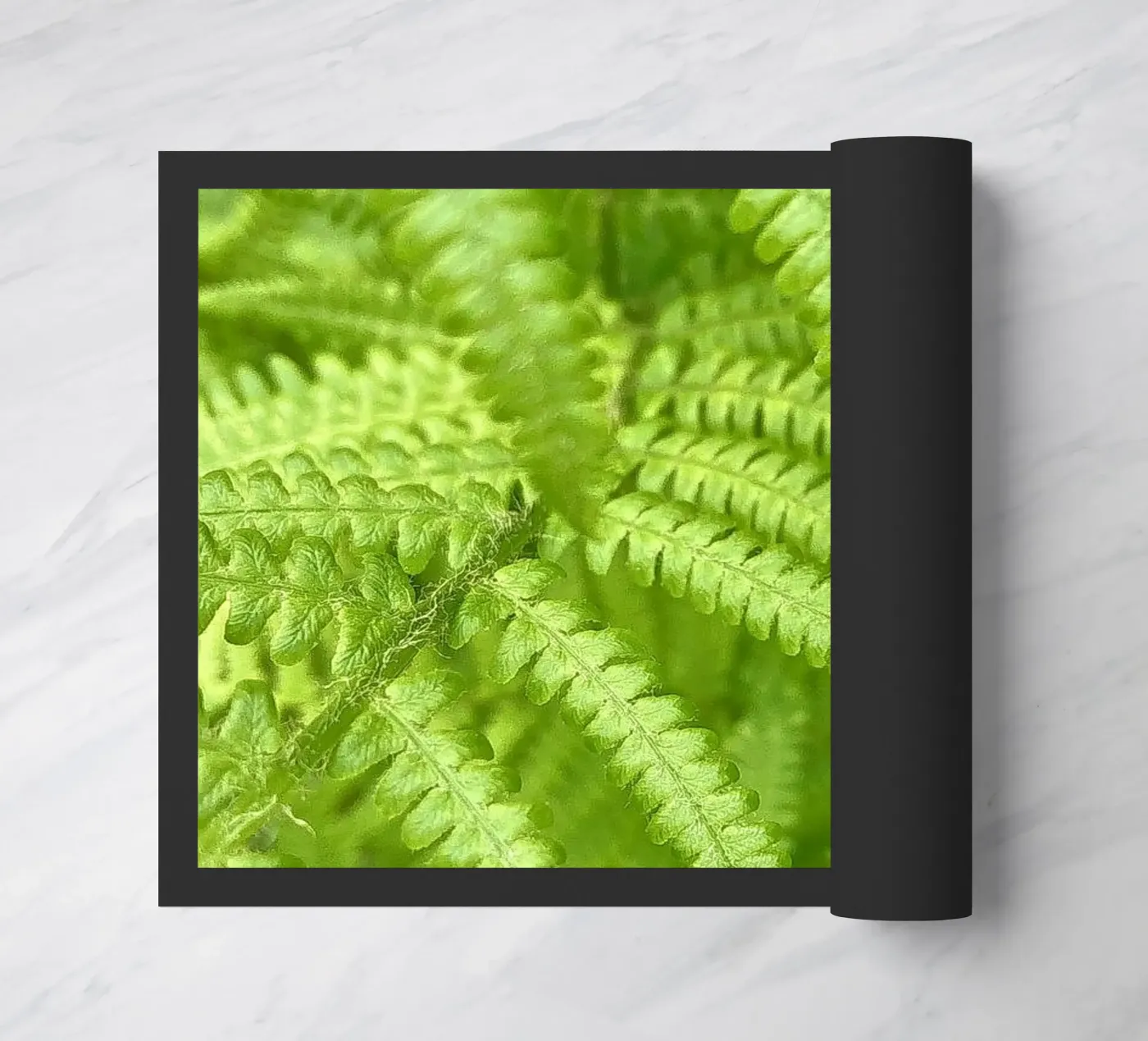 Felce zerbino da Art Studio by Iris