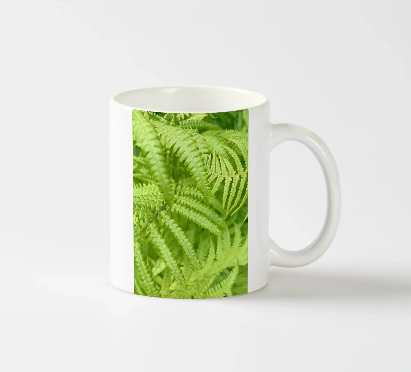 Fern ceramic mug by Art Studio by Iris