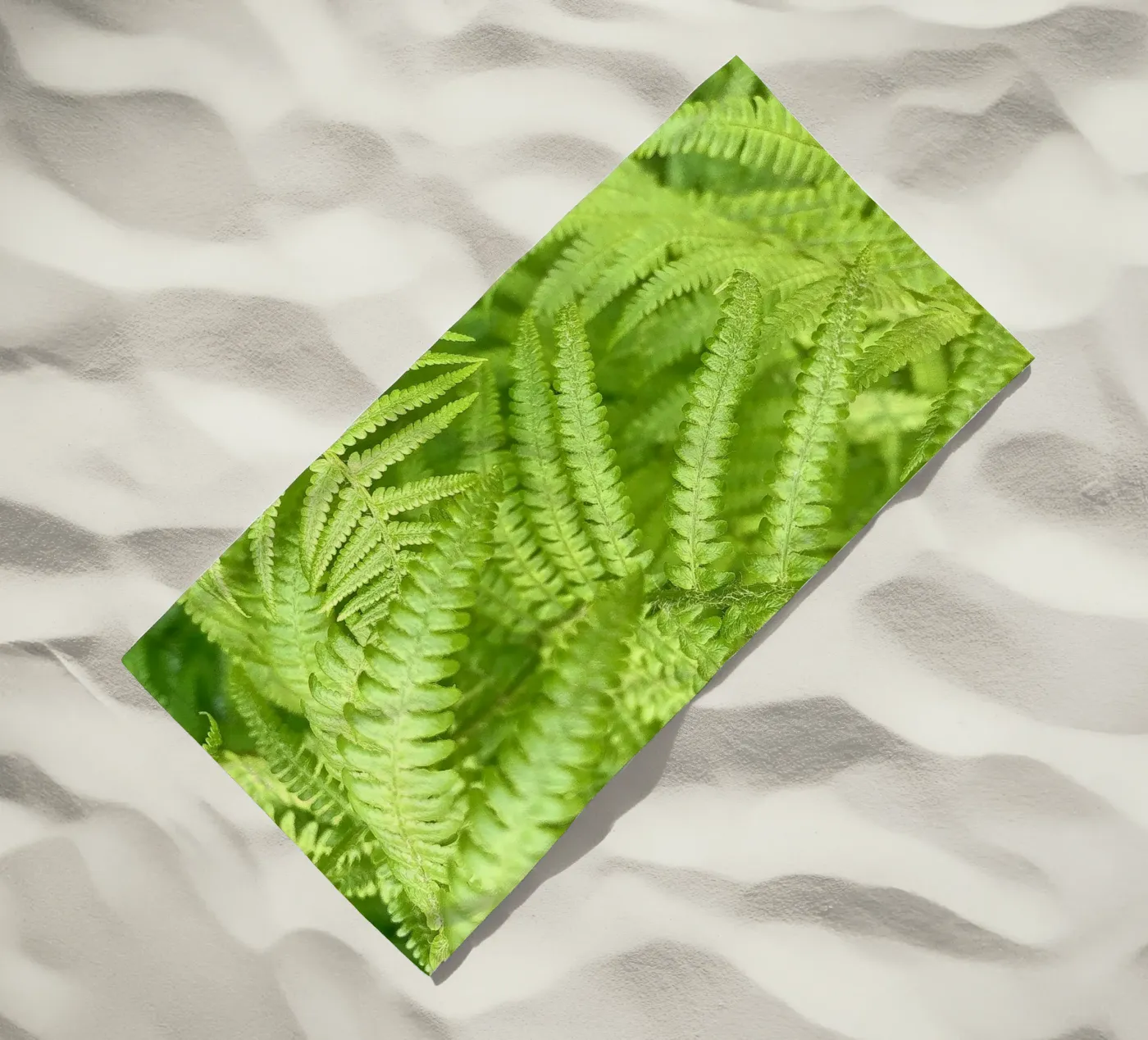 Felce telo mare da Art Studio by Iris