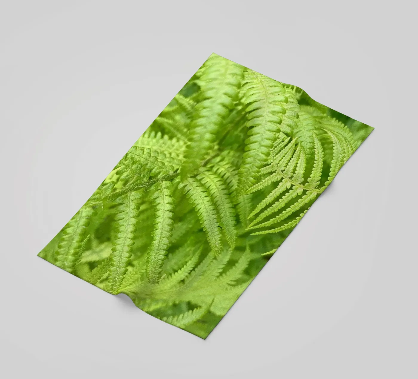 Felce telo mare da Art Studio by Iris