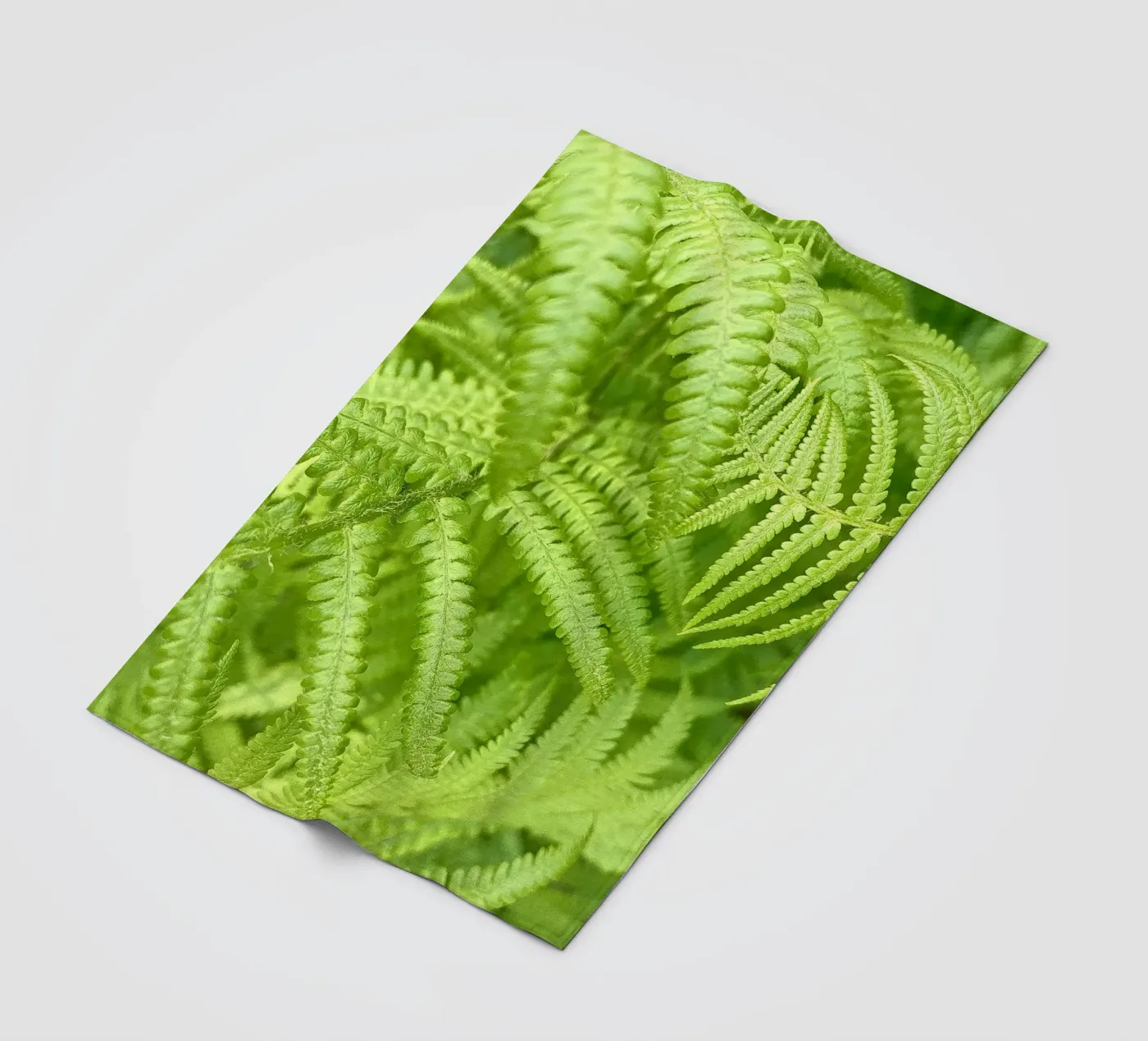Fern fleece blanket by Art Studio by Iris
