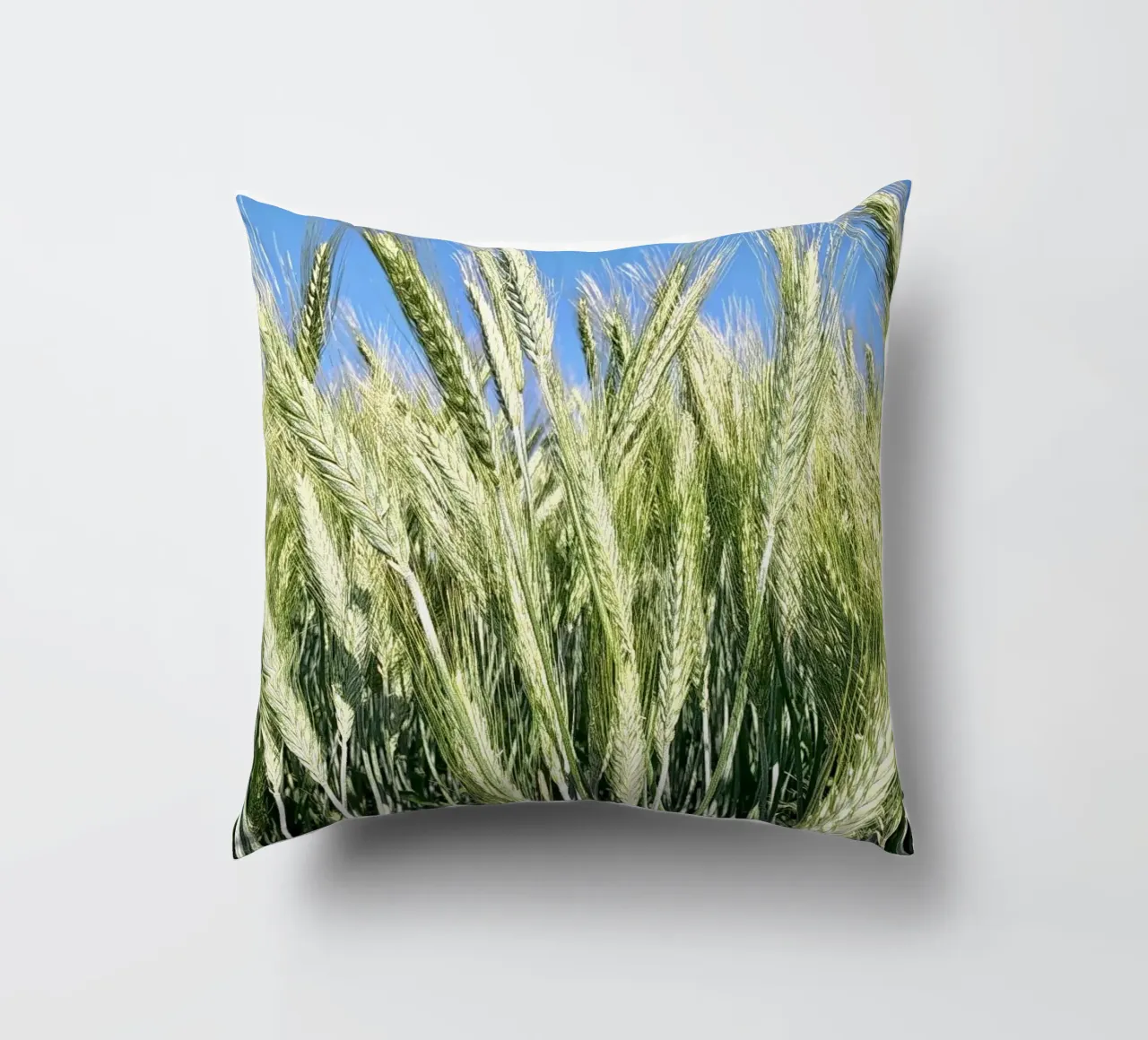 Campo di segale cuscino da Art Studio by Iris