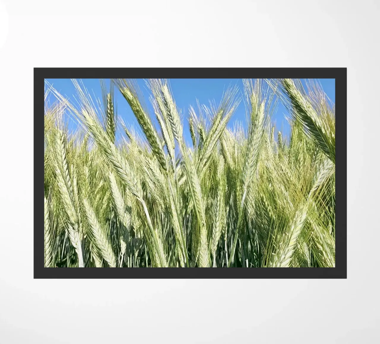 Roggeveld deurmat van Art Studio by Iris