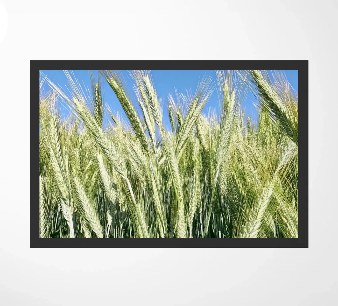 Rye field doormat by Art Studio by Iris