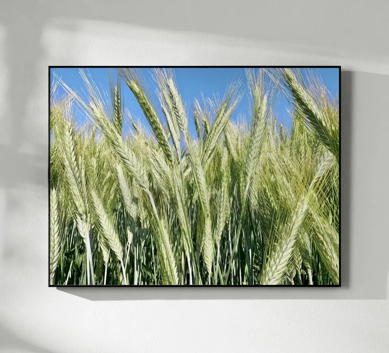 Rye field acryl van Art Studio by Iris