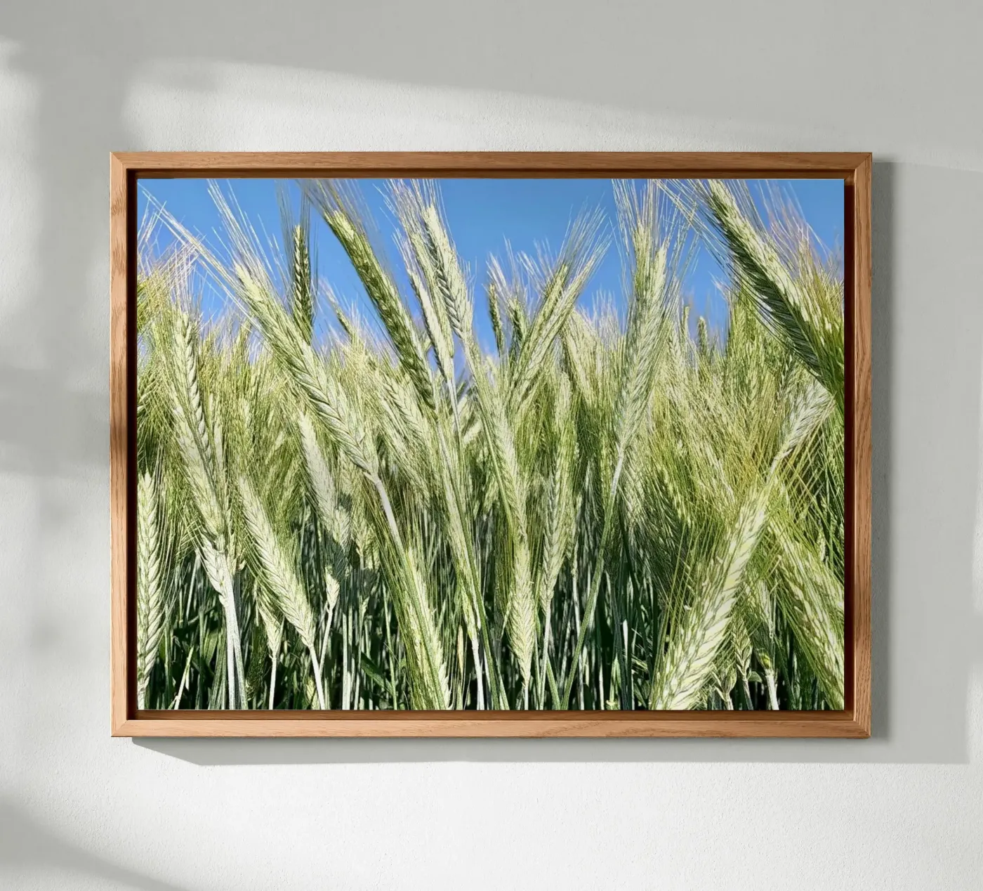 Rye field forex plate by Art Studio by Iris