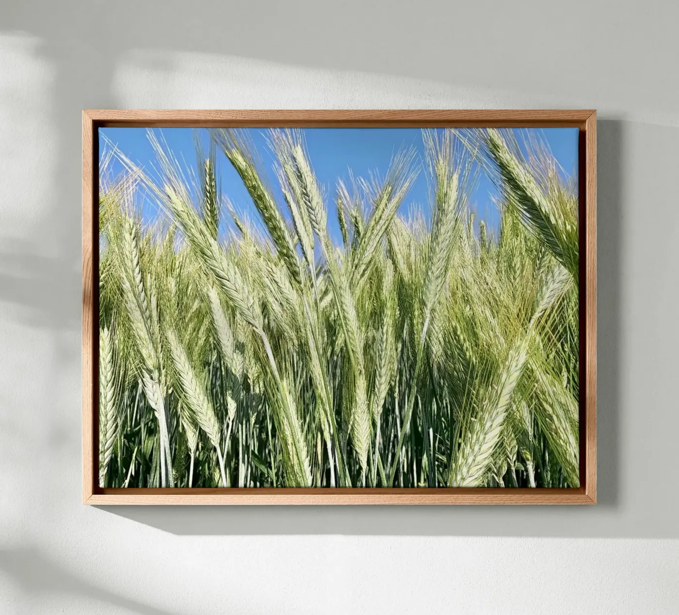 Campo di segale tela da Art Studio by Iris