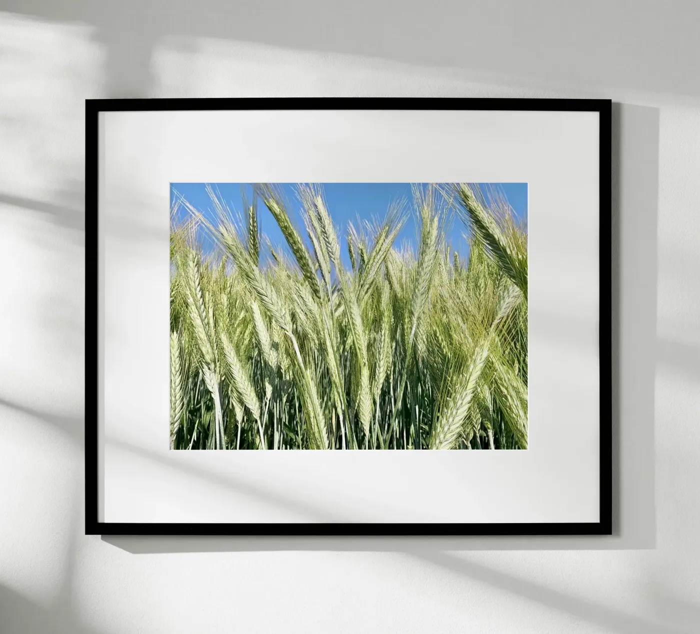 Roggenfeld Poster von Art Studio by Iris