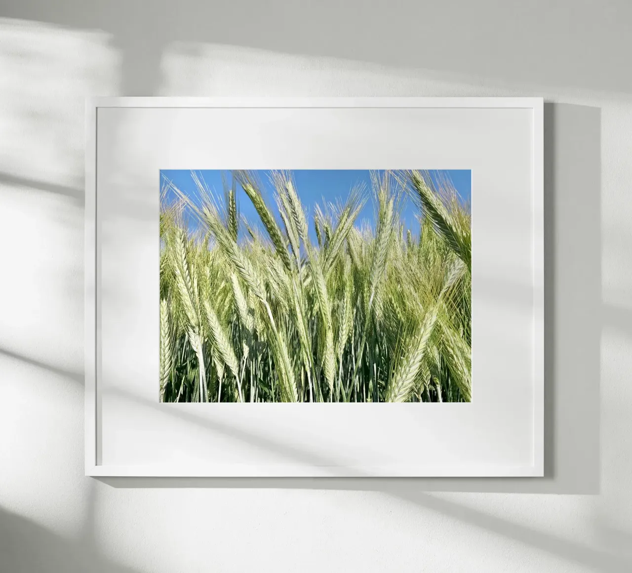 Campo di segale poster da Art Studio by Iris